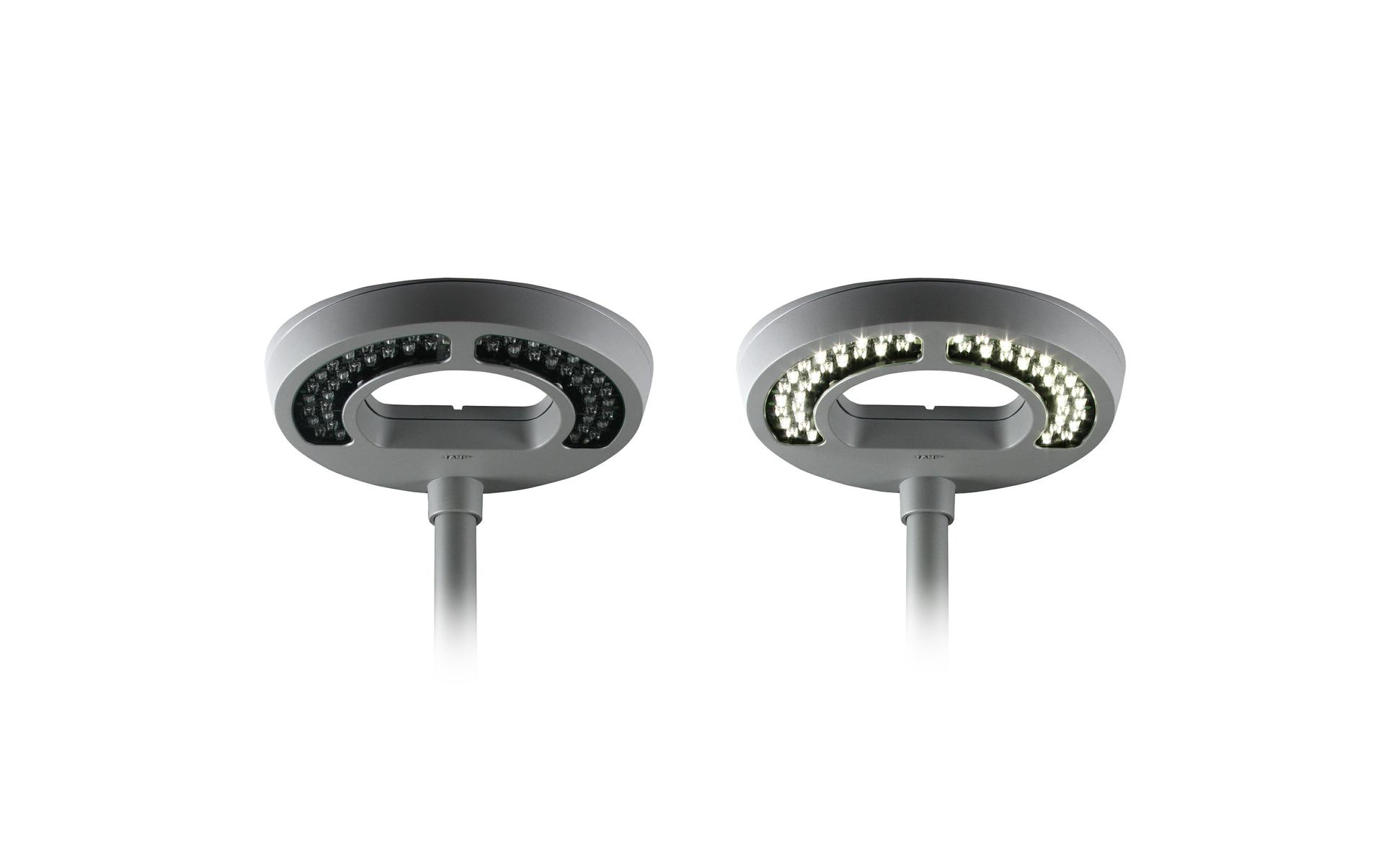 NIU LED