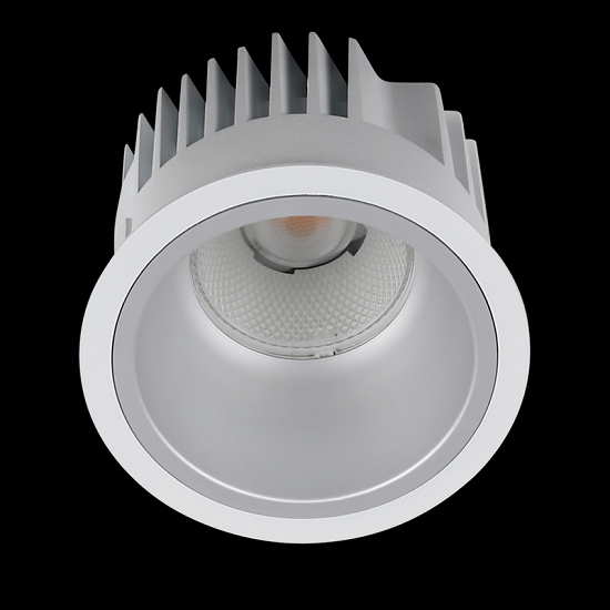 Downlight Arena 100