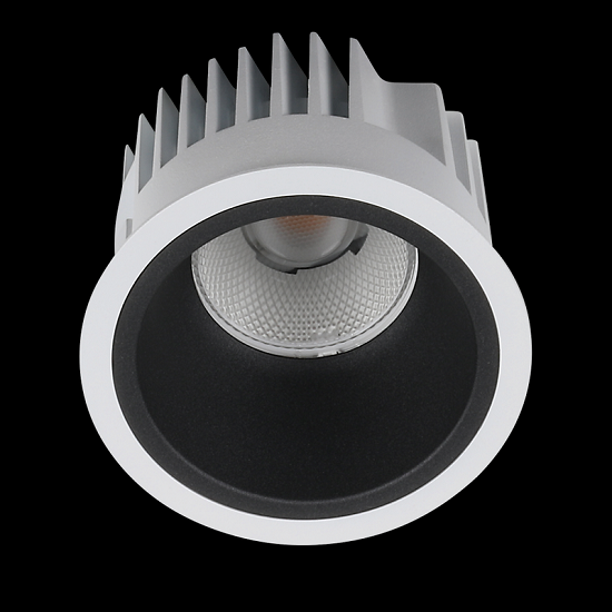 Downlight Arena 100
