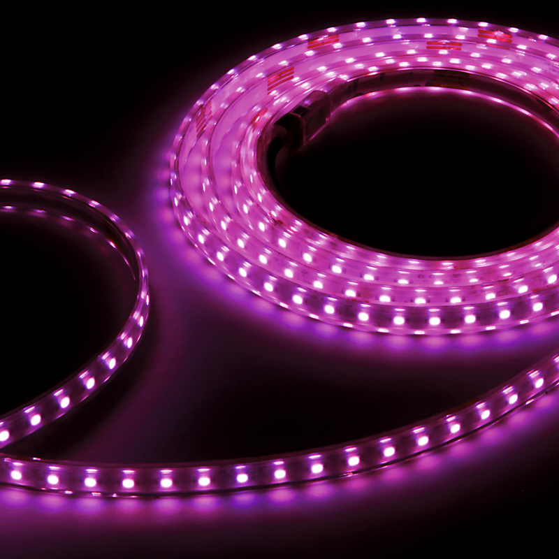 FLEX STRIP XTREME RGB